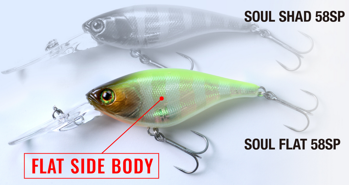 ルアーのアップ写真