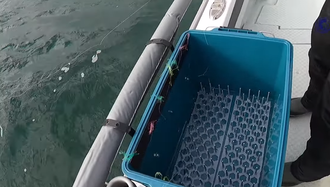 仕掛けのアップ写真