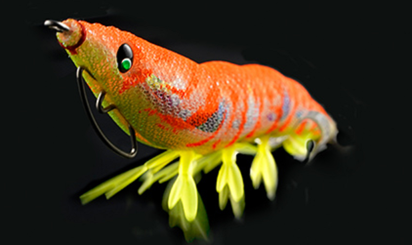 エギのアップ写真