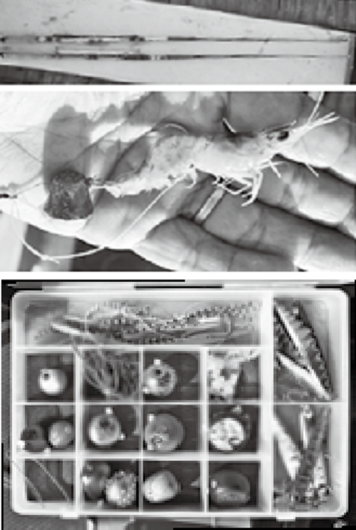 釣り道具の写真