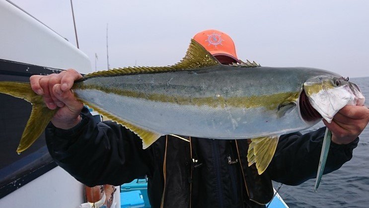 テイルウォークのジギングロッド・ジグフォースMBは荒ぶる海と巨大魚を制する！