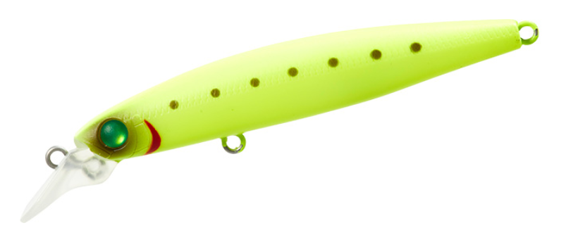 ルアーのアップ写真