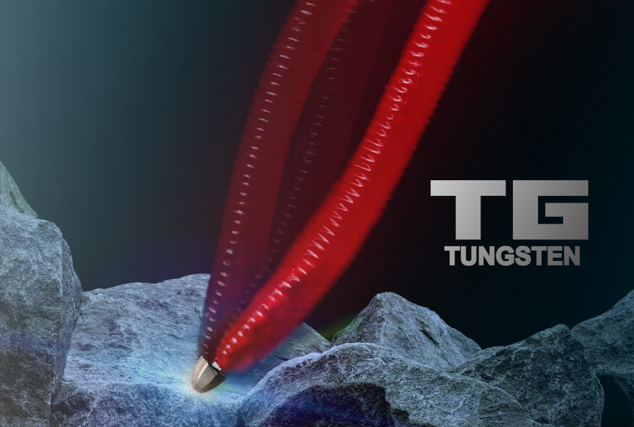 ワームとシンカーのアップ写真