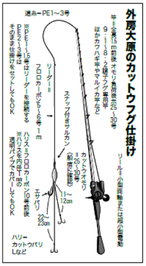 秋推し 今 釣りたい4ターゲット ショウサイフグ編