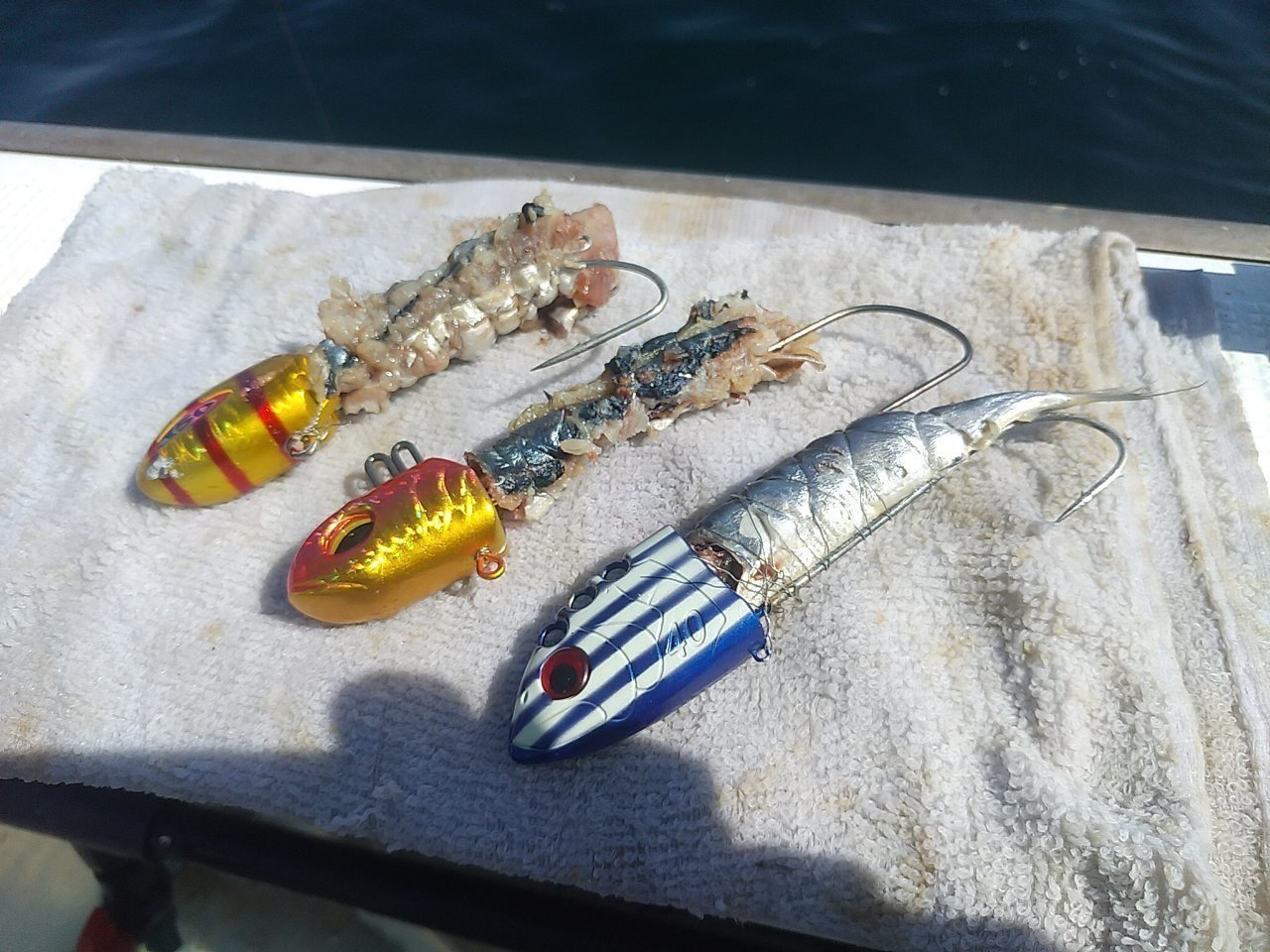 エサ持ちをよくするためにイワシ、サンマは潮につけて水抜きをするのが主流