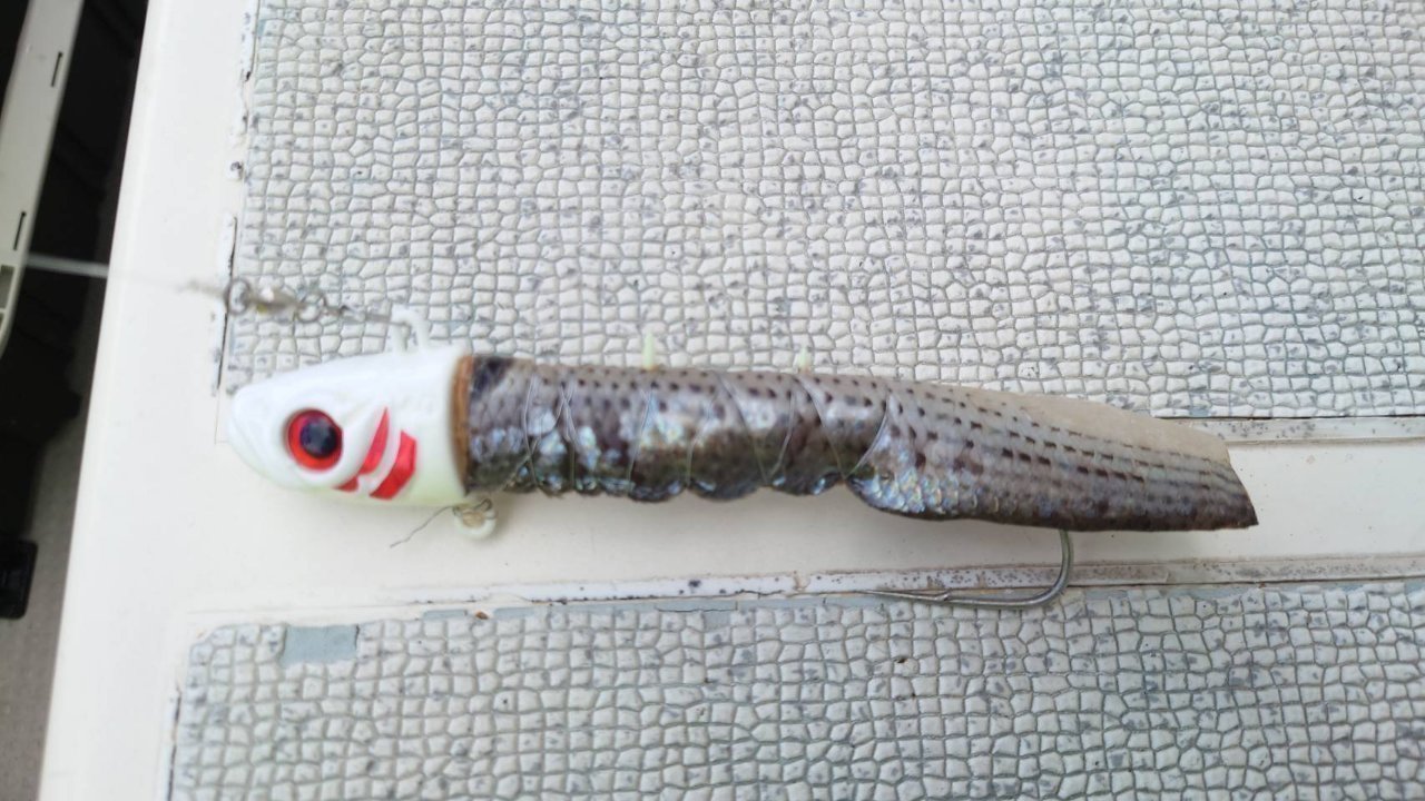 形よく巻いた時の姿勢がいい。かつ皮が硬く崩れにくい。