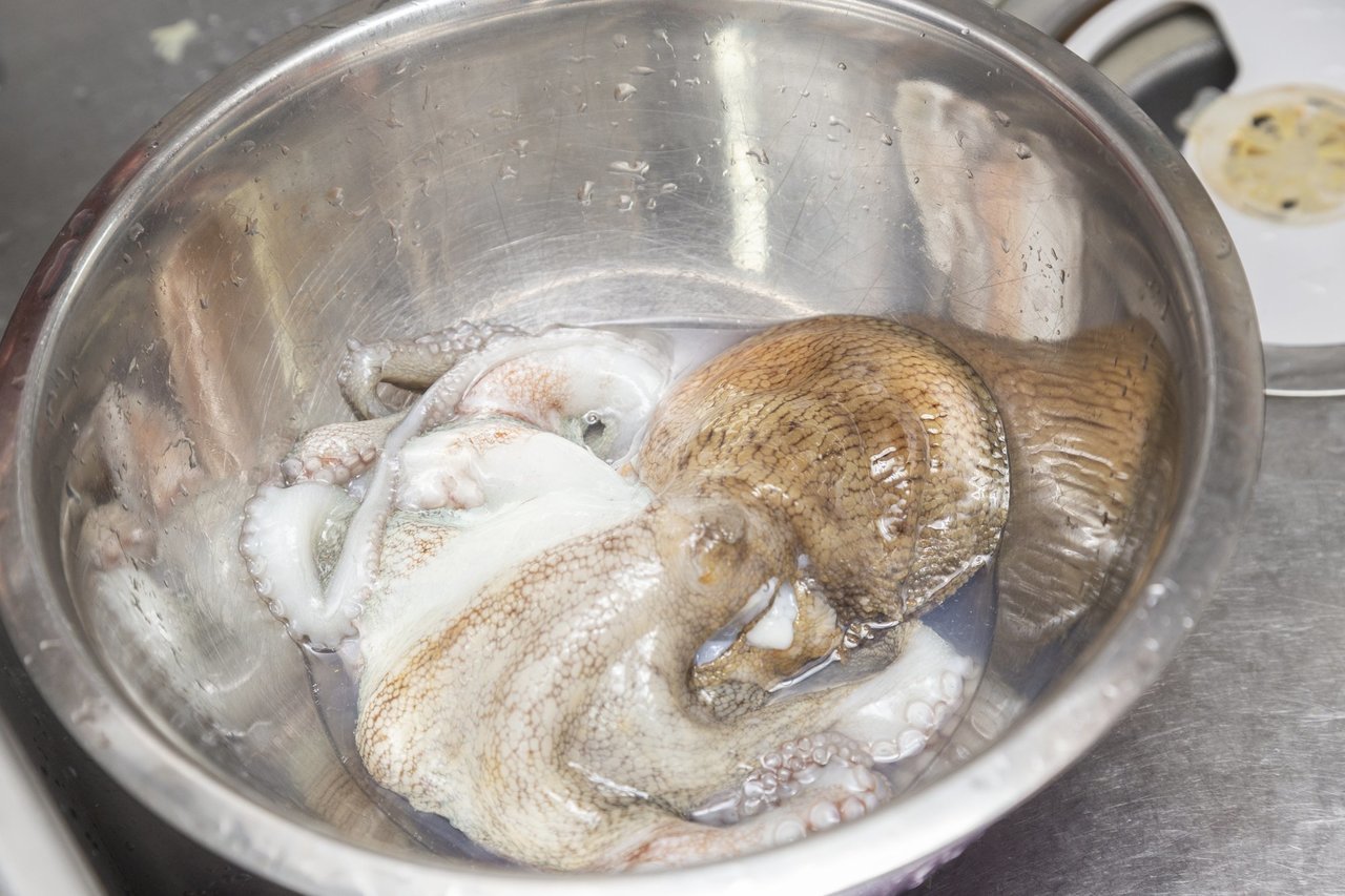 白いタコの写真