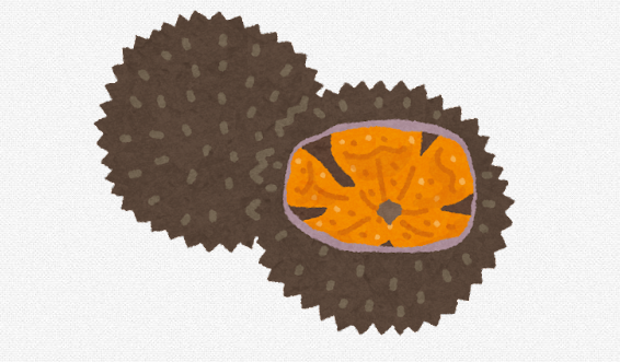 バフンウニのイラスト