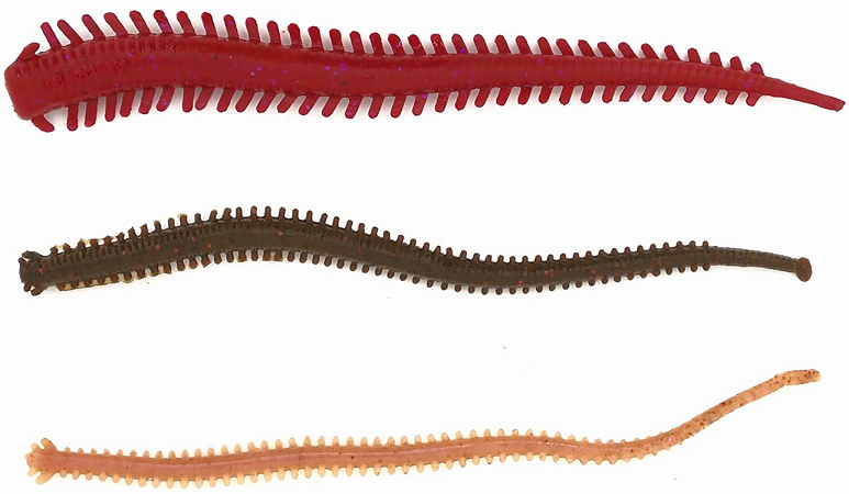 ワームのアップ写真