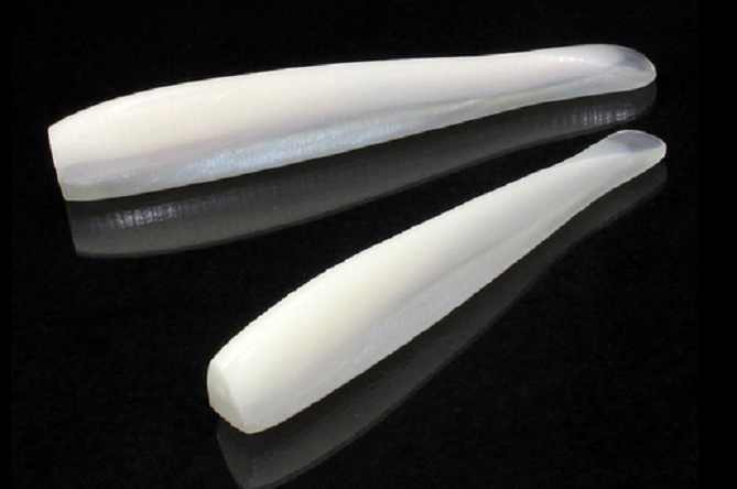 ワームのアップ写真