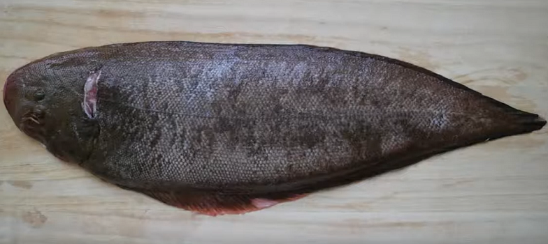 魚のアップ写真