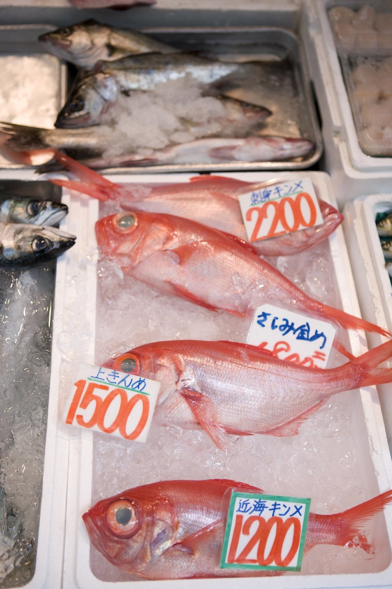 店に並ぶキンメダイの写真