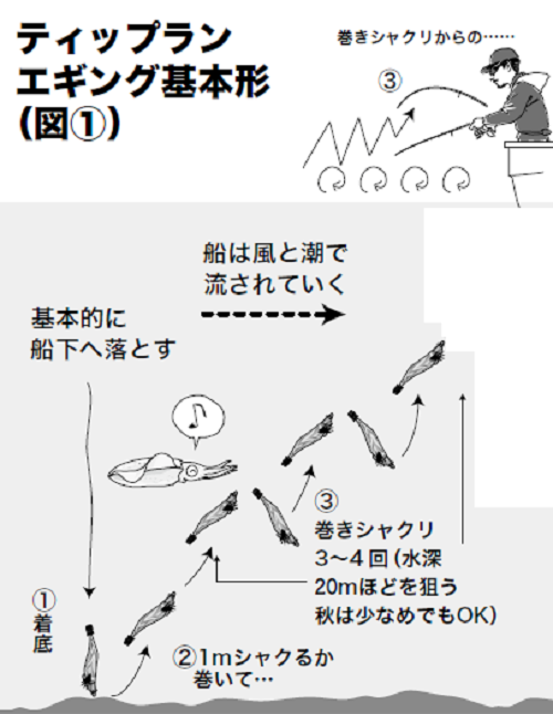 秋の餌木あそび ティップランエギング