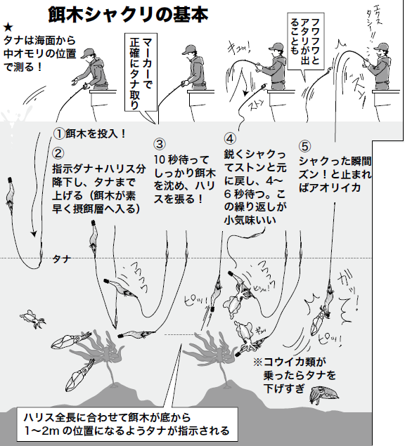 秋の餌木あそび】中オモリ式のアオリイカ