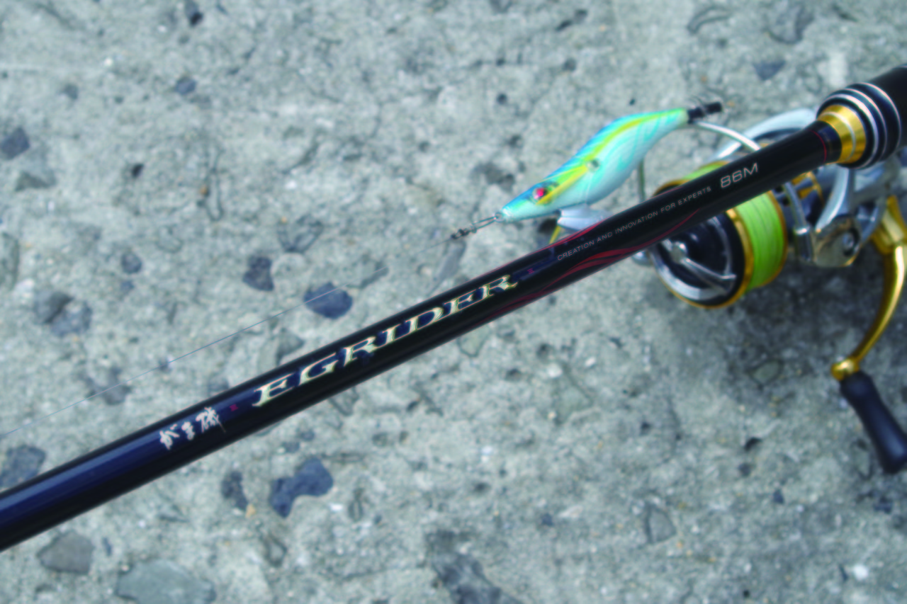 がま磯 イージーライダー