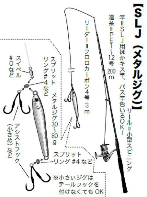 DAIWA - 紅牙　611MS-S スピニング　タイラバロッド　テンヤ　ティップラン、SLJ 紅牙 611MS-S スピニング タイラバロッド テンヤ ティップラン、SLJ