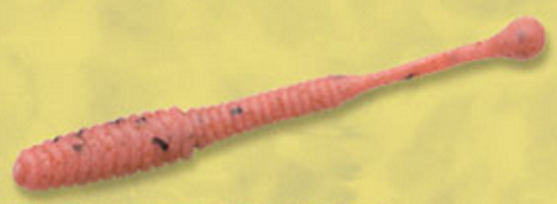 ワームのアップ写真