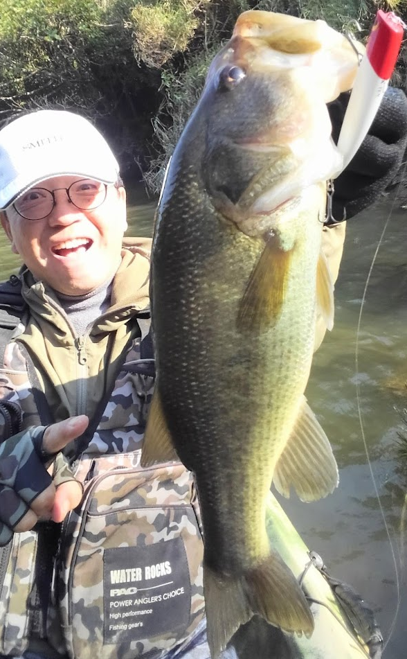 ルアーと魚のアップ写真