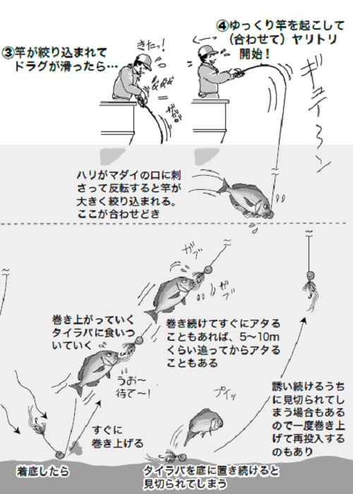 釣り方の図