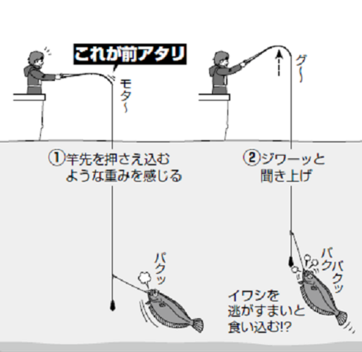 釣り方の図