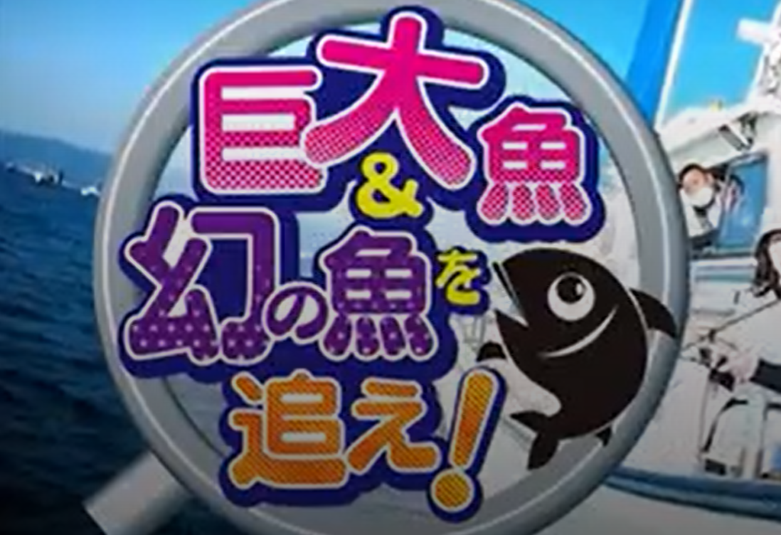 巨大魚＆幻の魚を追え！　釣り番組