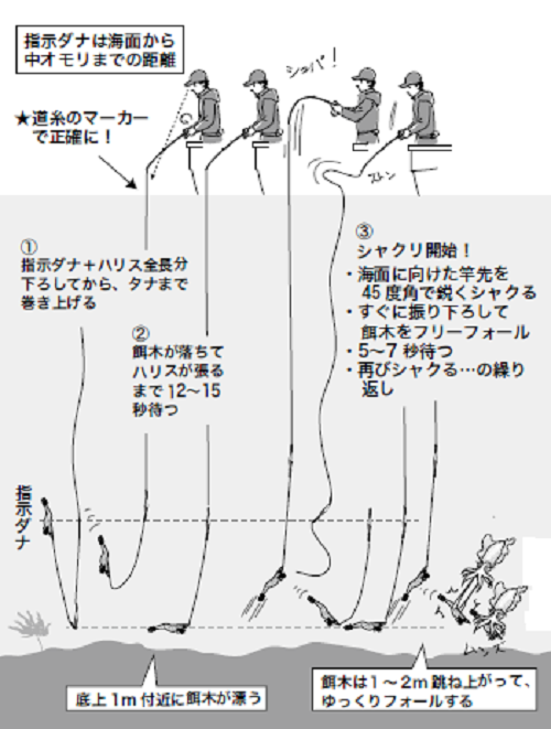 アオリイカと餌木あそび】餌木シャクリ