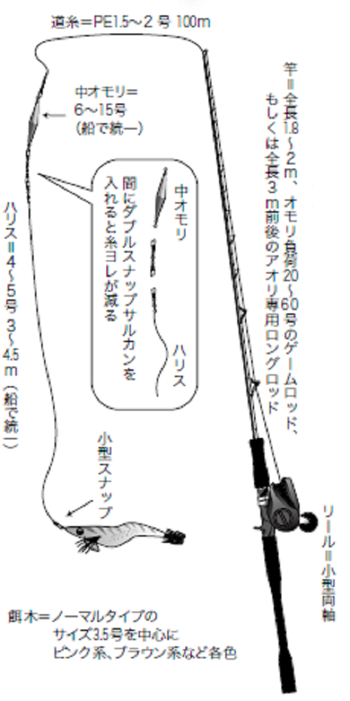 アオリイカと餌木あそび】餌木シャクリ