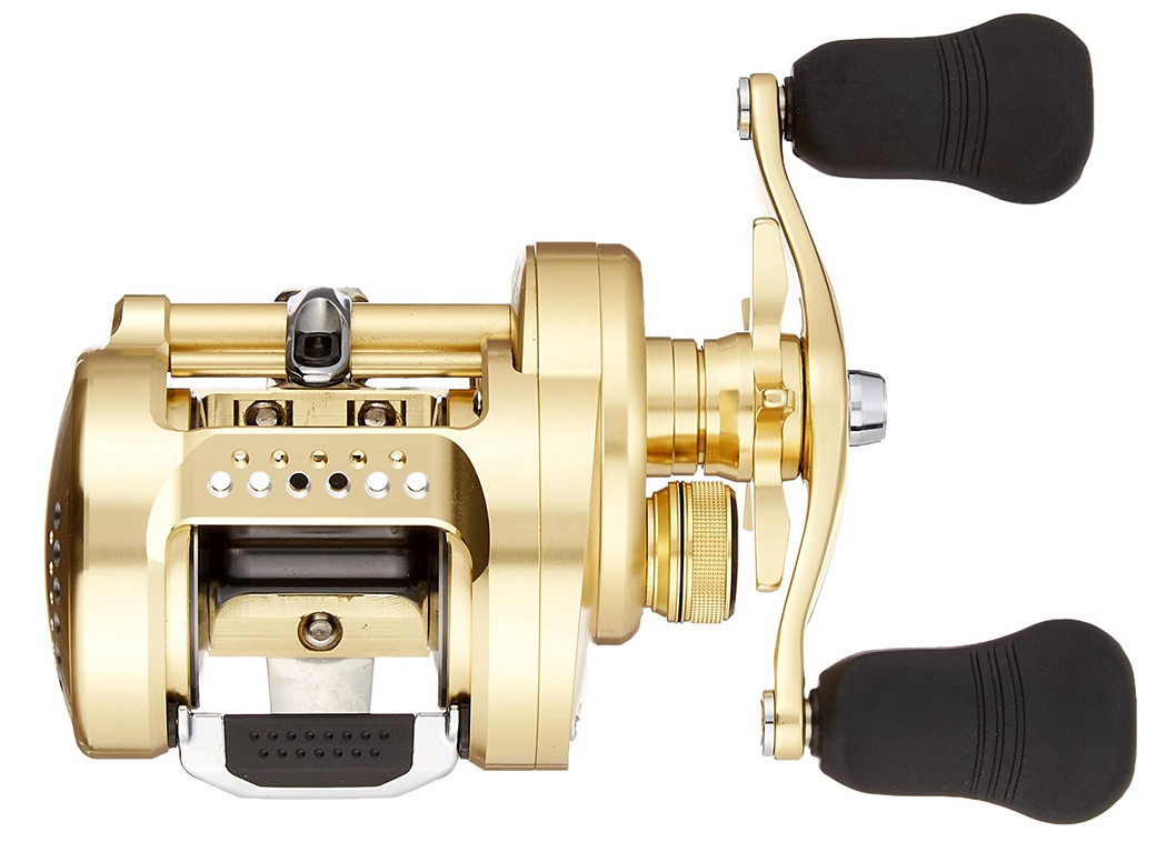 リールのアップ写真