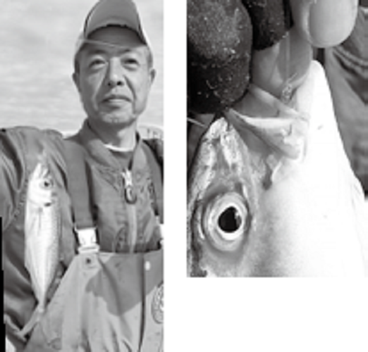 釣り人と魚の写真