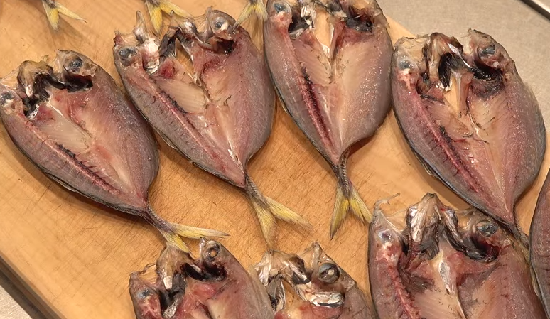 魚のアップ写真