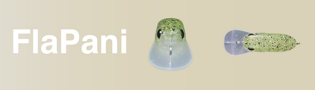 ルアーのアップ写真