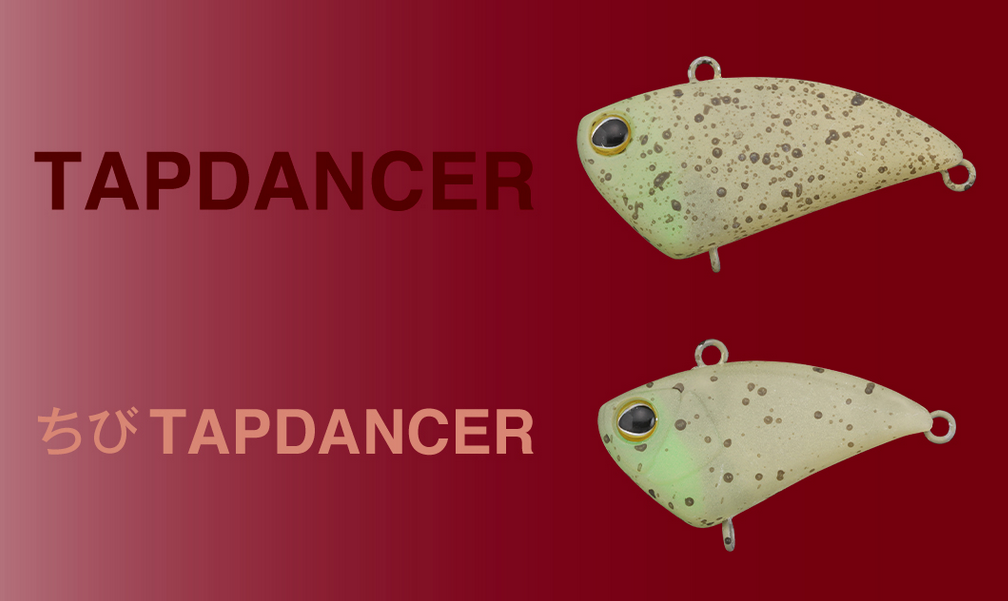 ルアーのアップ写真