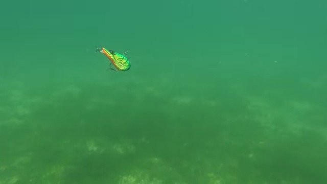 バイブレーションプラグ　シミーフォール　バスフィッシング　ルアー