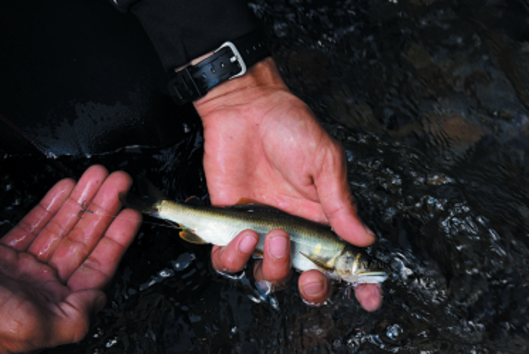 セット中の写真