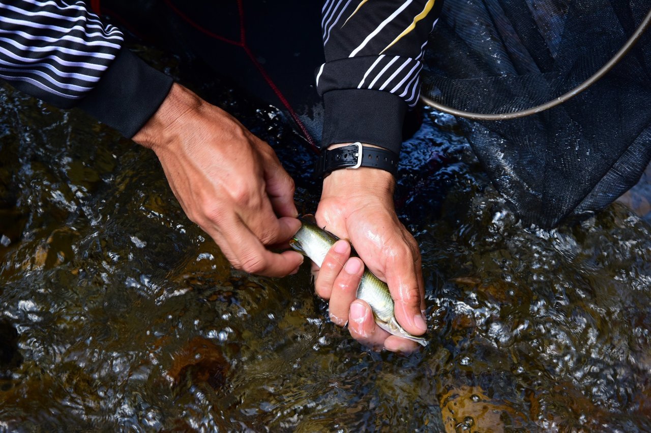 セット中の写真