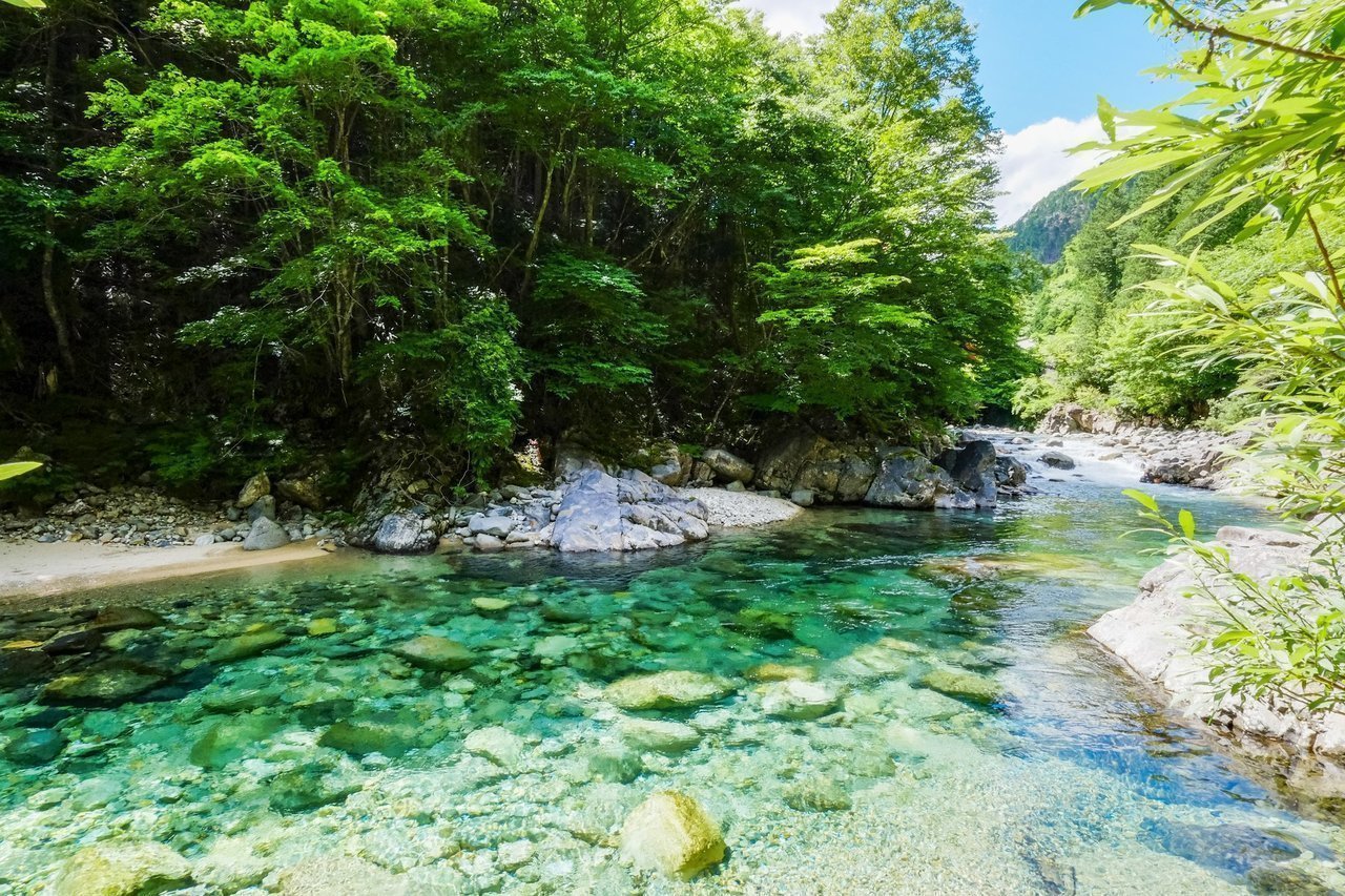 自然の風景の写真