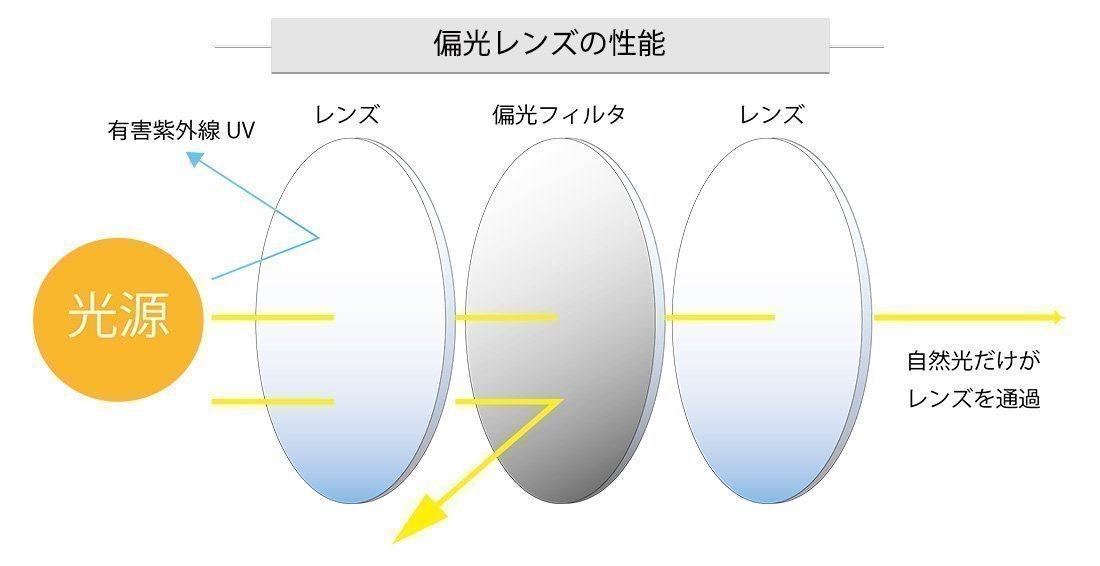 偏光レンズの性能を説明した図