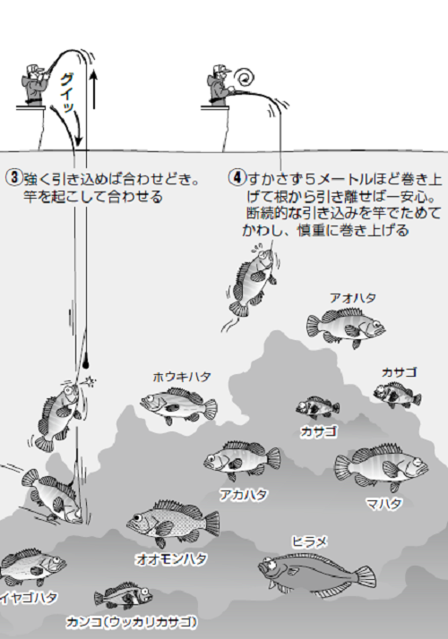 釣行の図