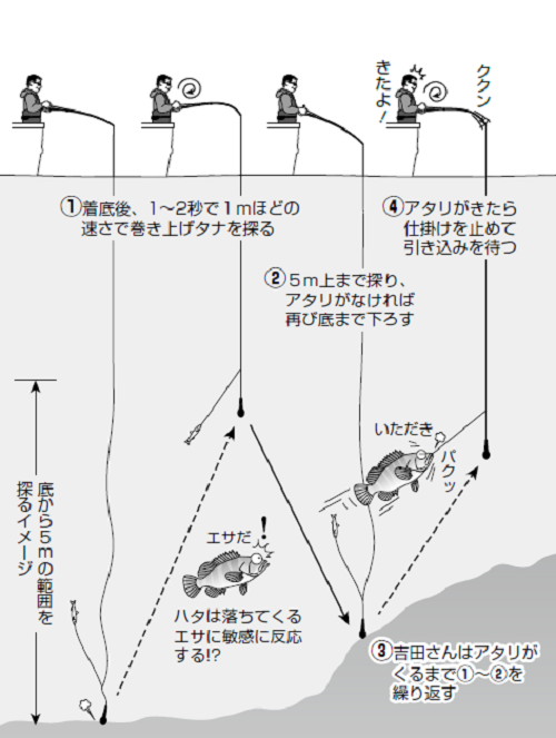 泳がせで狙え大物 南伊豆のハタ五目 釣りまとめアンテナ