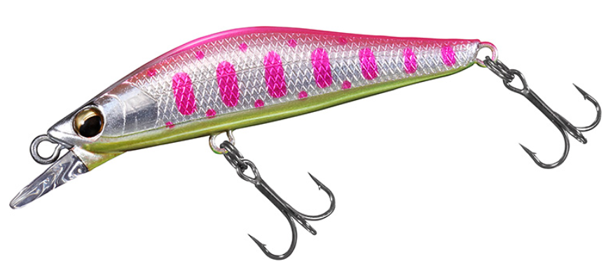 ルアーのアップ写真