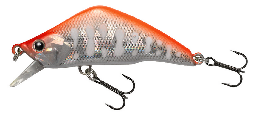 ルアーのアップ写真