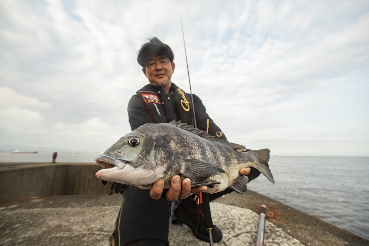 チヌのへち釣り】最強のヘチロッド『銀参郎アルティメイト』の秘密に