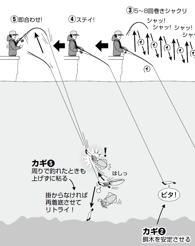 イカ先生のティップエギング クリニック 釣りまとめアンテナ