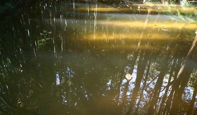 釣り場　ルアー　色