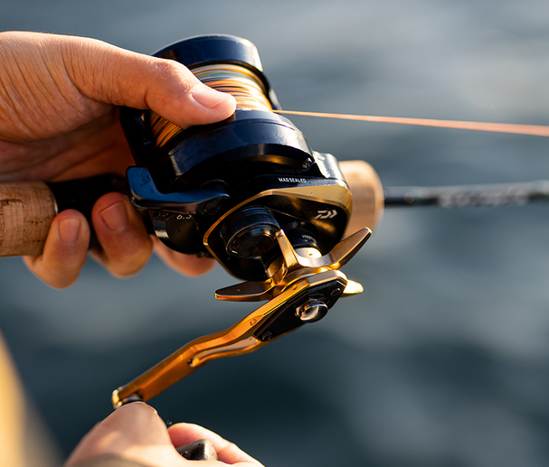 リールのアップ写真