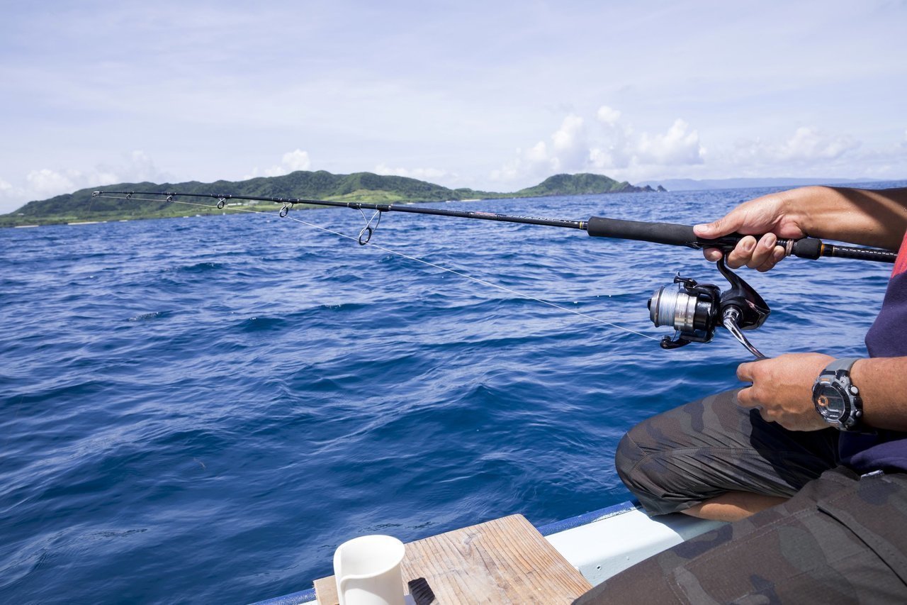 海釣りをする人の手元の写真