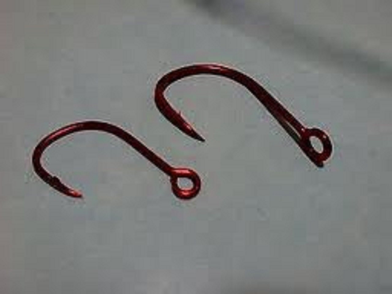 管つきバリの写真