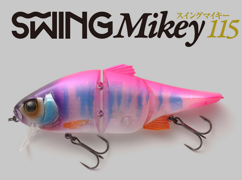 ルアーのアップ写真