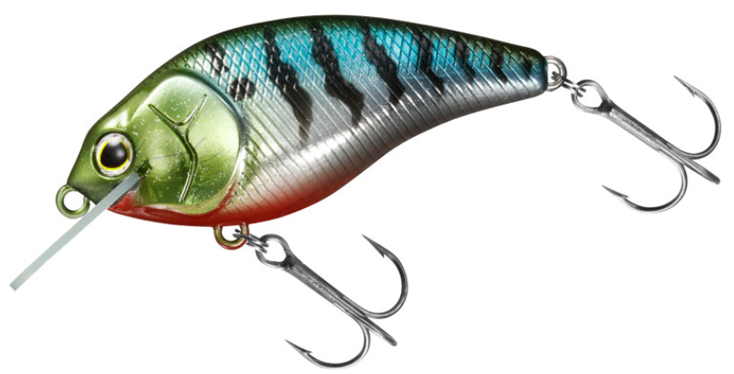 ルアーのアップ写真