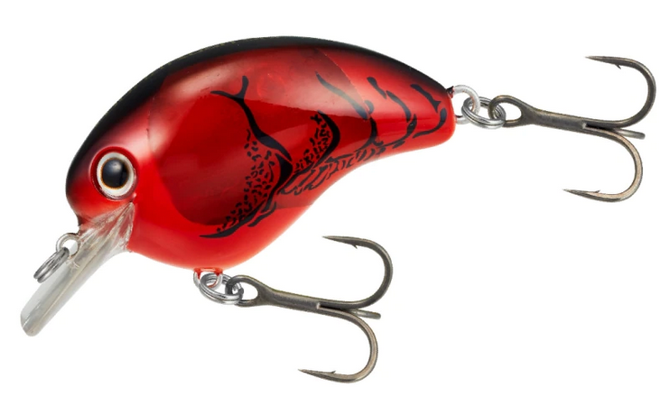 ルアーのアップ写真